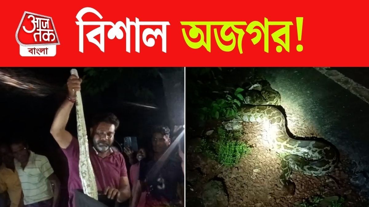 Jhargram Python Rescue