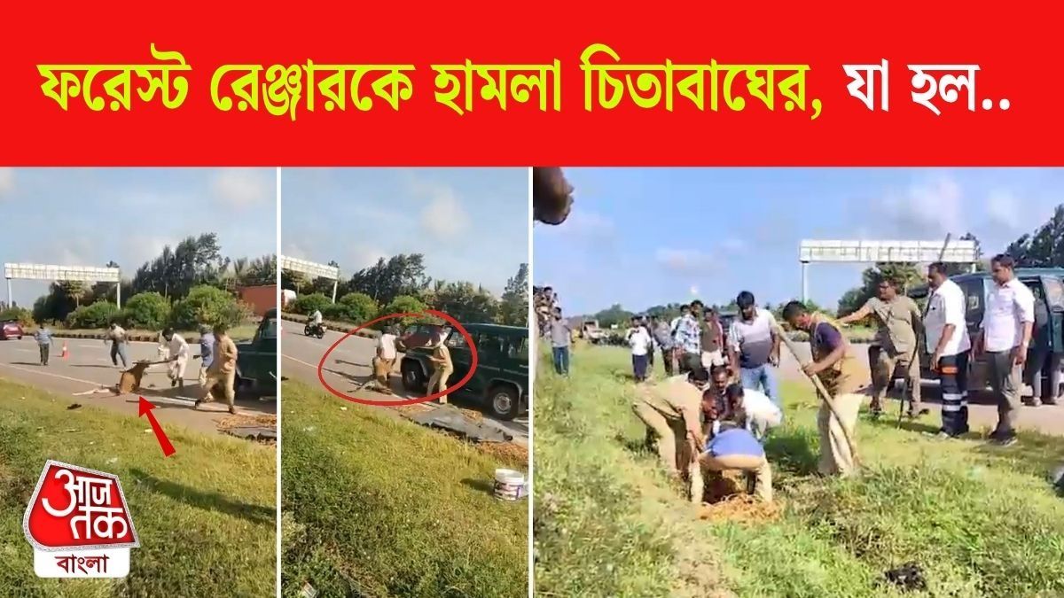 জখম Leopard, উদ্ধার করতে গিয়ে বনকর্তাকে আক্রমণ! তারপর...
