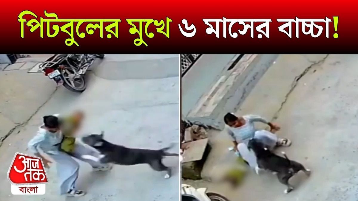 Pit Bull Attacks 6 Month Old Child, Video
