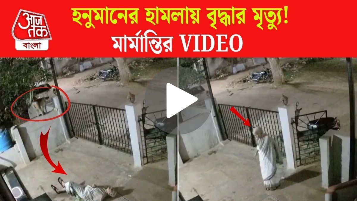 হনুমানটি হামলা করল! বৃদ্ধার মর্মান্তিক মৃত্যু, CCTV ফুটেজ VIRAL