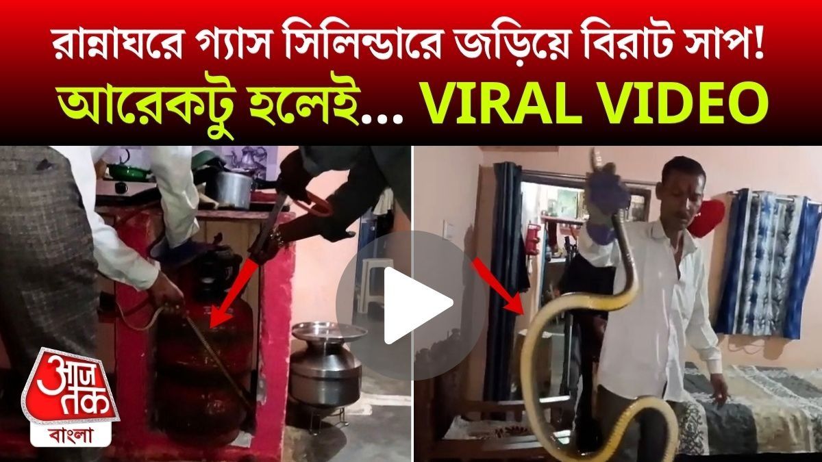 রান্নাঘরে গ্যাস সিলিন্ডারে পেঁচিয়ে Huge Snake! গৃহবধূকে আরেকটু হলেই... দেখুন