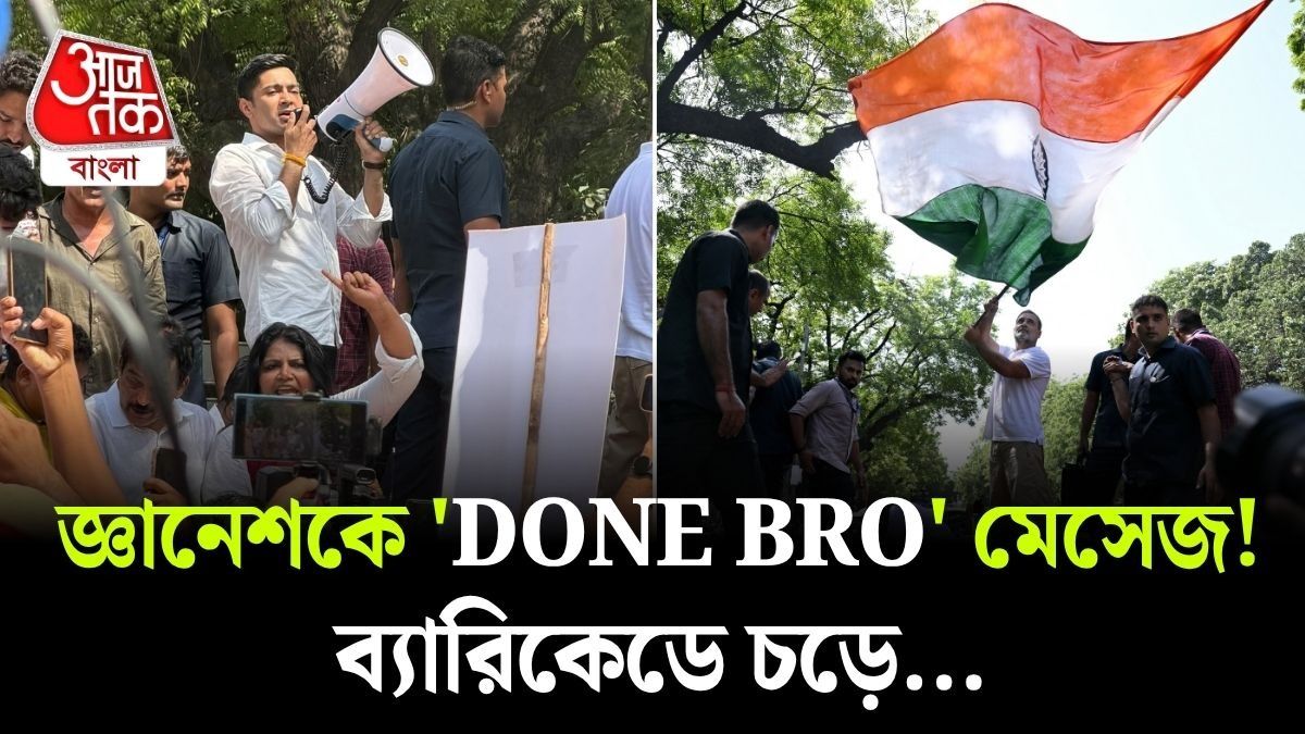 ব্যারিকেডে চড়লেন Rahul Gandhi, তা দেখে উঠে পড়লেন Abhishek ও, INDI জোটের বিক্ষোভ, দেখুন 