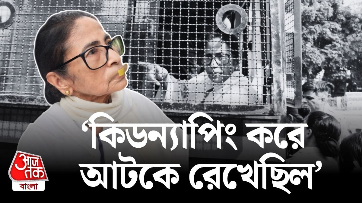 'প্লেনের টিকিট কেনার ক্ষমতা নেই', Detention থেকে ছাড়া পেয়ে Mamata Banerjee