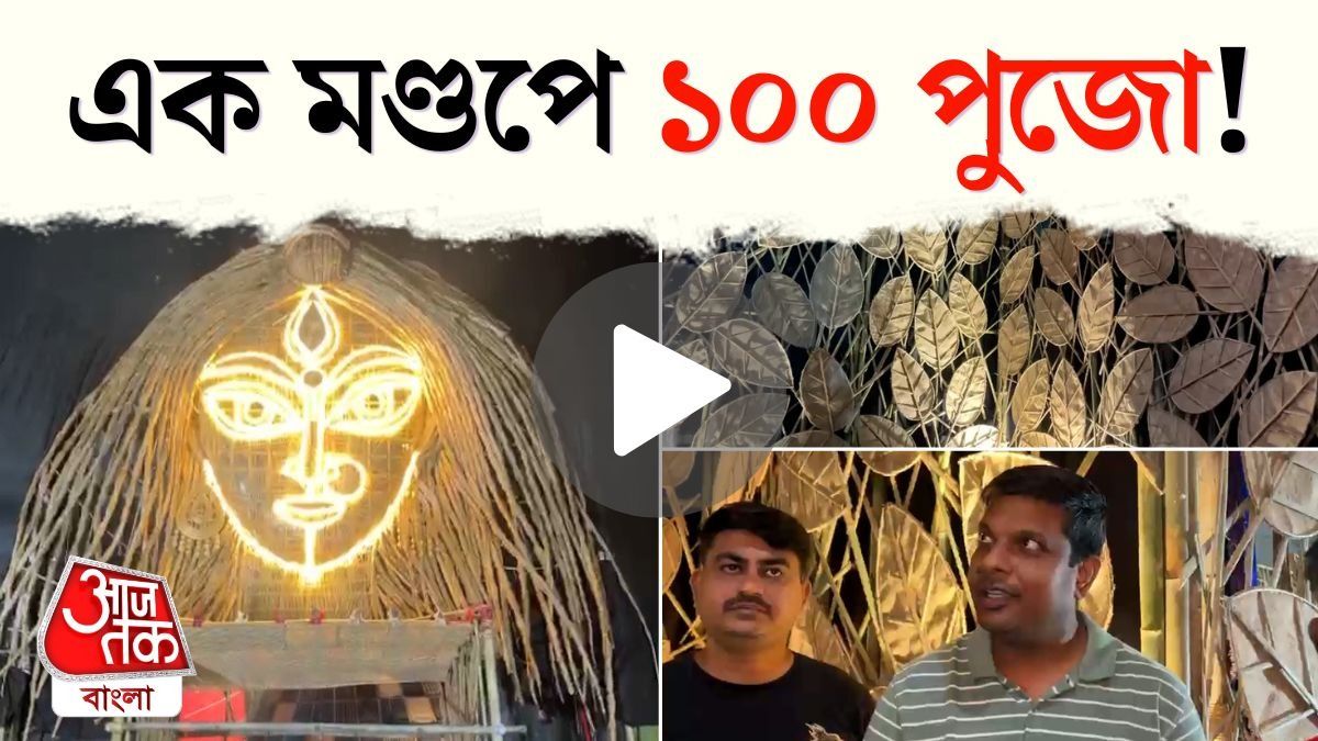 এক মণ্ডপে ১০০ পুজো! ২৫ ফুটের প্রতিমায় Rajendralal Street Sadharon Durgotsab এ চমক