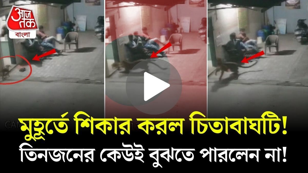 মুহূর্তে আশ্রমের কুকুরটিকে তুলে নিয়ে গেল চিতাবাঘ, তারপর...! হাড়হিম করা CCTV ফুটেজ
