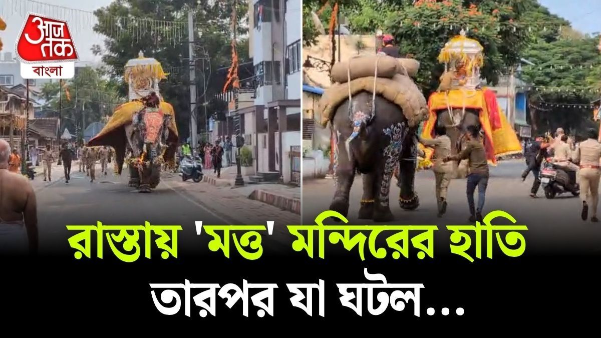 Elephant Agitated During Dasara procession