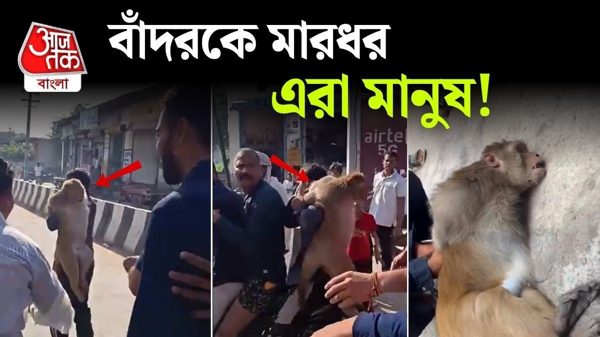 মাথার দাম 51 হাজার, Haryana তে বাঁদর ধরা পড়তেই মারধর, Video