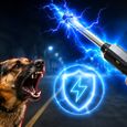 Dog Attack से बचने के लिए मार्केट में आया खास गैजेट, जानें कैसे करता है काम
