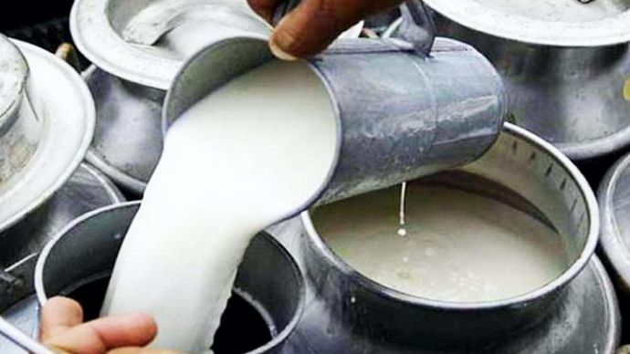 नकली दूध बेचने वाले हो जाये सावधान FSSAI नकली दूध और उत्पादों की निगरानी करेगा नकली दूध बेचने वाले हो जाये सावधान FSSAI नकली दूध और उत्पादों की निगरानी करेगा