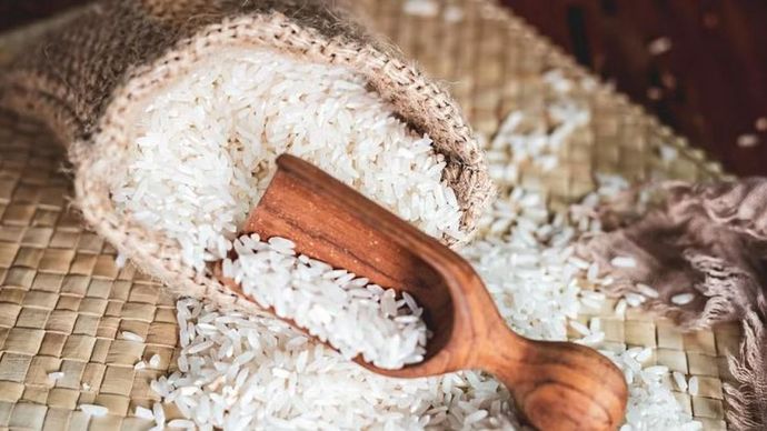 सफेद चावल के एक्सपोर्ट पर बैन सफेद चावल के एक्सपोर्ट पर बैन