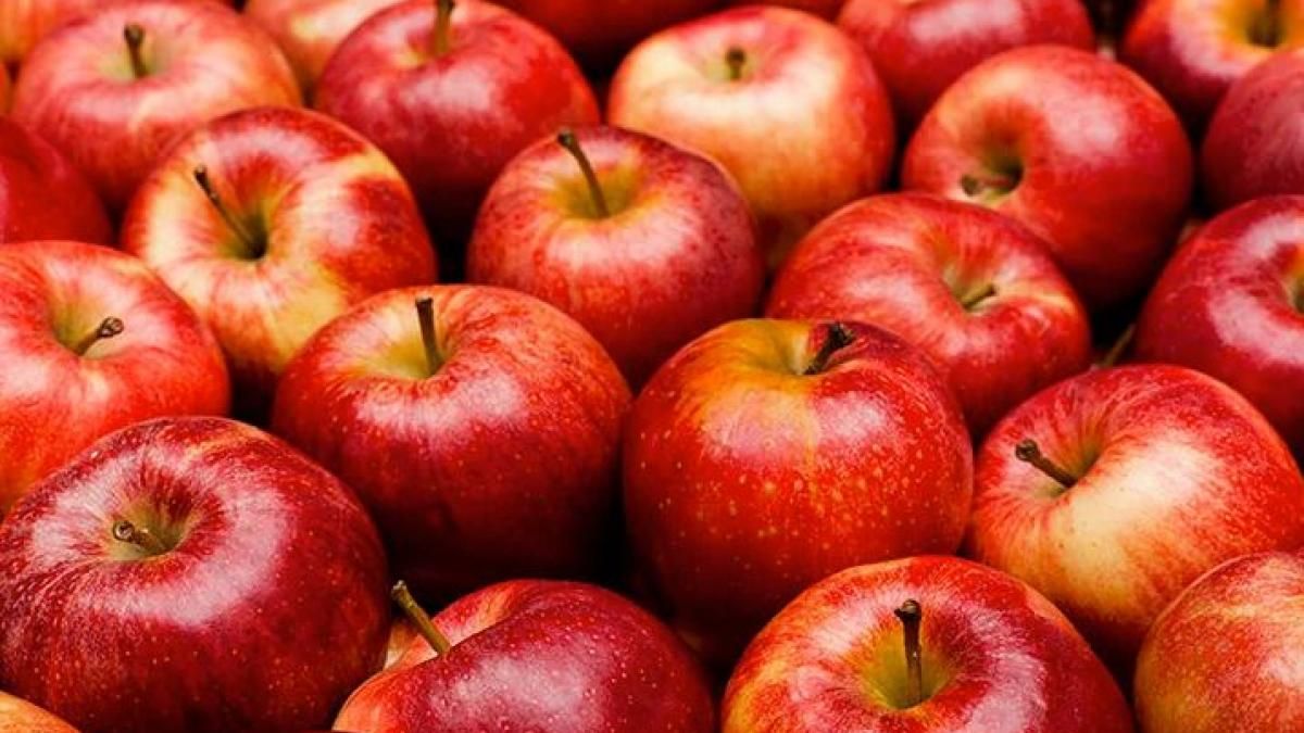 टमाटर के बाद अब सेब की कीमतें बढ़ने की आशंका