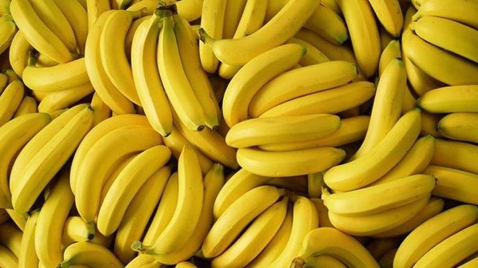 टमाटर की महंगाई से अभी राहत मिली भी नहीं थी कि अब केले की बारी आ गई है टमाटर की महंगाई से अभी राहत मिली भी नहीं थी कि अब केले की बारी आ गई है