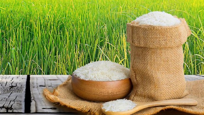 सर्वेश्वर फूड्स लिमिटेड ने कंपनी के शेयरधारकों को बोनस शेयरों देने का ऐलान किया है सर्वेश्वर फूड्स लिमिटेड ने कंपनी के शेयरधारकों को बोनस शेयरों देने का ऐलान किया है