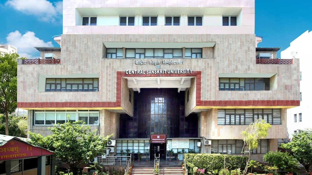 university