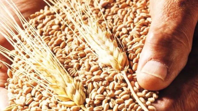 खाद्य और सार्वजनिक वितरण मंत्रालय ने हाल ही में बताया है कि बाजार में पर्याप्त गेहूं के स्टॉक मौजूद हैंखाद्य और सार्वजनिक वितरण मंत्रालय ने हाल ही में बताया है कि बाजार में पर्याप्त गेहूं के स्टॉक मौजूद हैं खाद्य और सार्वजनिक वितरण मंत्रालय ने हाल ही में बताया है कि बाजार में पर्याप्त गेहूं के स्टॉक मौजूद हैंखाद्य और सार्वजनिक वितरण मंत्रालय ने हाल ही में बताया है कि बाजार में पर्याप्त गेहूं के स्टॉक मौजूद हैं