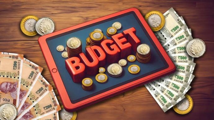 बाजार के जानकारों की क्या है बजट पर प्रतिक्रिया? Budget 2024