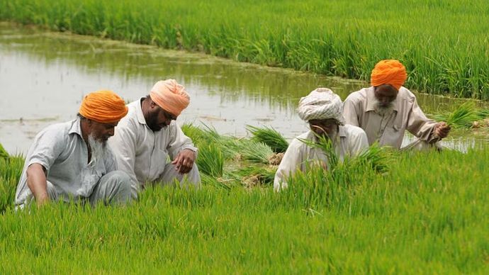 बांग्लादेश में राजनितिक संकट के बीच करोड़ो भारतीय किसान मुश्किल में पर चुके है बांग्लादेश में राजनितिक संकट के बीच करोड़ो भारतीय किसान मुश्किल में पर चुके है