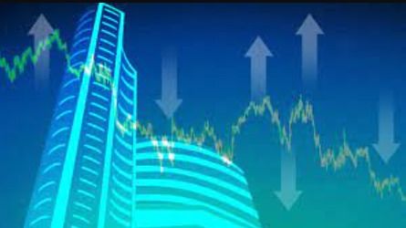 Share Market