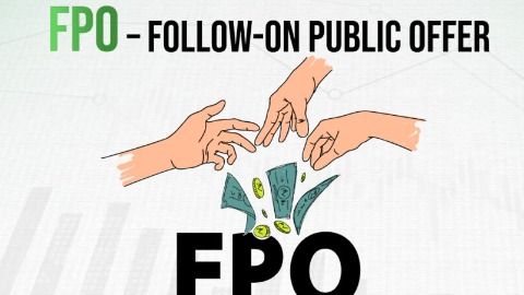 फॉलो-ऑन पब्लिक ऑफर (Follow-on Public Offer-FPO)