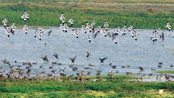 okhla-bird-sanctuary-072756629-16x9.png