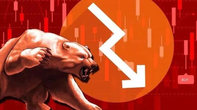 bear market bear market