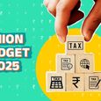 Budget 2025: Solar और Renewable Energy पर होगा फोकस, दिग्गजों ने बताई क्या हैं उम्मीदें