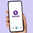 PhonePe IPO: जल्द ही आएगा आईपीओ! कंपनी ने कहा - लिस्टिंग का सही समय; जानिए क्या है बड़ा अपडेट
