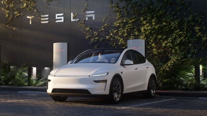 Tesla Model Y (Credits: Tesla website/Model Y)