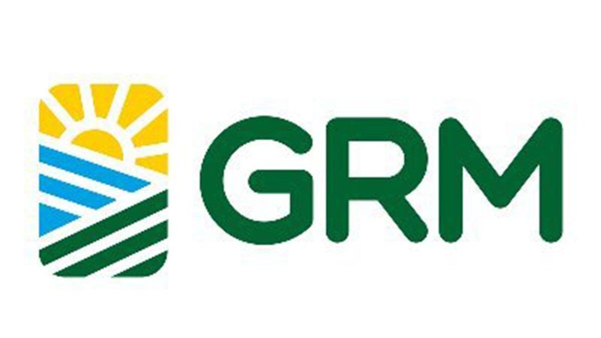 GRM Overseas Share