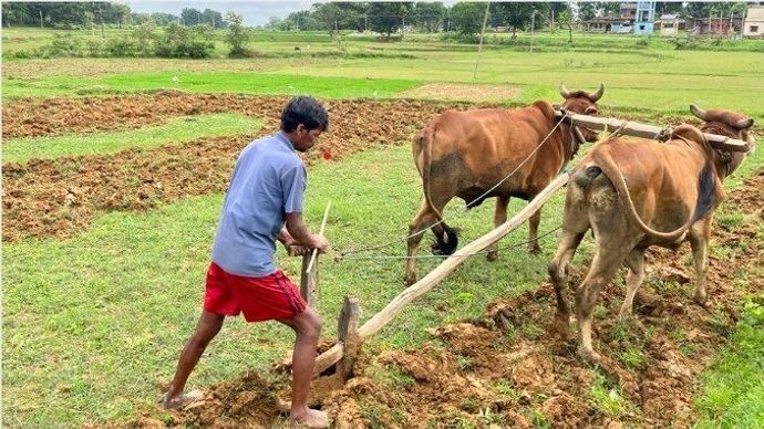 Agri Stock Agri Stock