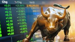 बाजार गिरा लेकिन इस शेयर में लगा अपर सर्किट! 5% उछला भाव - 6 महीने में दोगुना कर चुका है पैसा