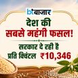 खेती से लखपति बनने का फॉर्मूला! मोदी सरकार ने इस फसल की MSP ₹10,346 प्रति क्विंटल की - समझें कमाई का पूरा गणित