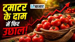 महंगा हुआ टमाटर! देशभर में बढ़े दाम, अगस्त से पहले राहत की उम्मीद कम