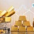 Gold ETF और Gold FoF क्या हैं? सोने में निवेश के इन ऑप्शंस से पोर्टफोलियो को मिलेगा फायदा