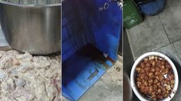 मुंबई के किचन में मिले कॉकरोच, काला पड़ा तेल और गंदगी, जानें किन 4 बिजनेस पर हुई कार्रवाई?