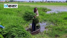 अब लोन वसूलने घर नहीं आएंगे बैंक...महाराष्ट्र के किसानों के लिए सरकार ने उठाया कदम
