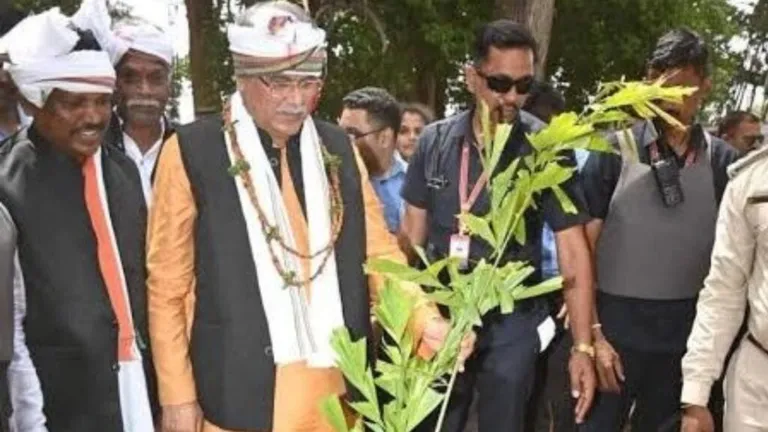 हरेली तिहार: मुख्यमंत्री बघेल की लोगों से विशेष अपील, जानें क्या कहा… NewsTak