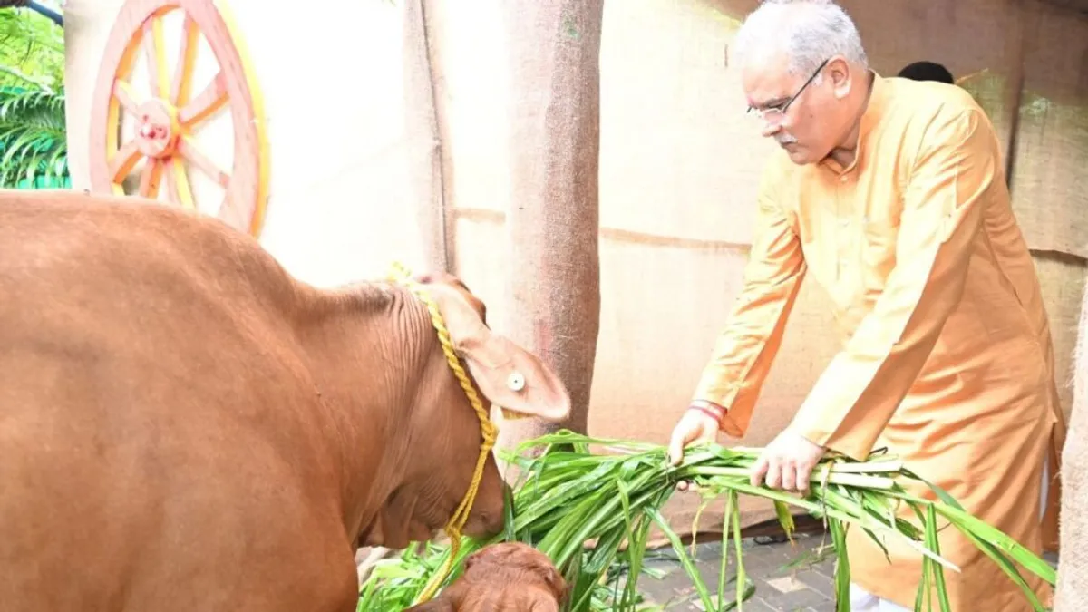 सीएम बघेल ने दी ‘हरेली तिहार’ की शुभकामनाएं, कहा- हमारी संस्कृति हो रही थी नष्ट, हमने किया इसे संरक्षित करने का प्रयास NewsTak