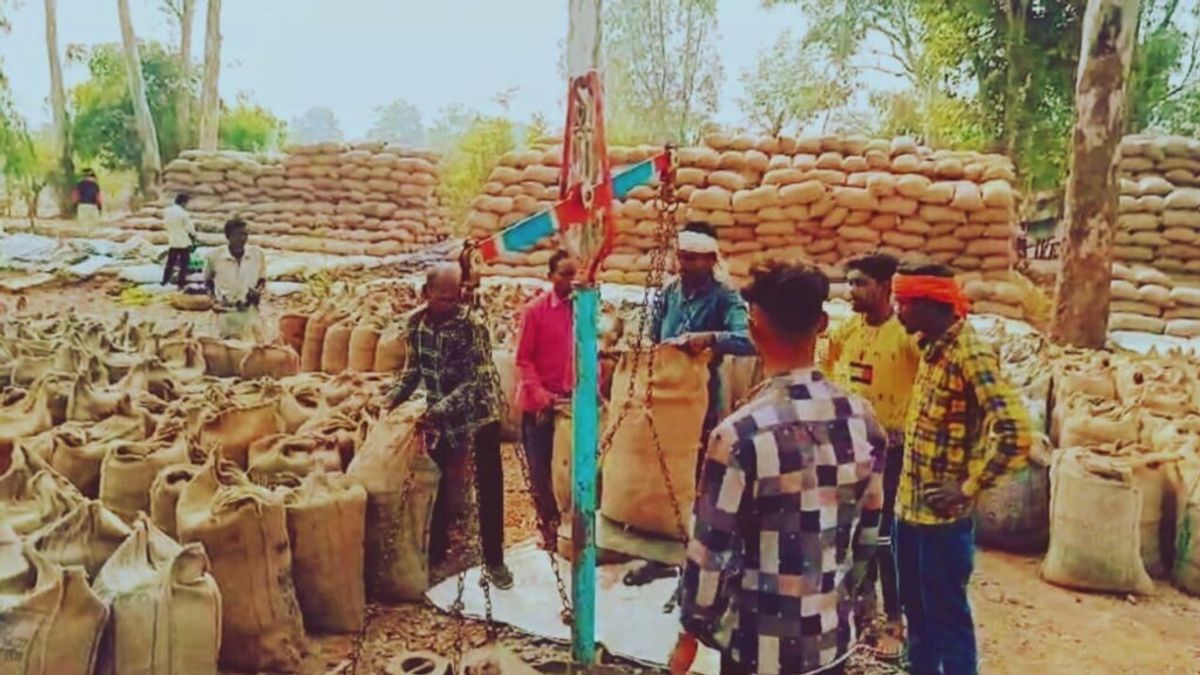 धान खरीदी पर क्या है व्यवधान? कांग्रेस-बीजेपी में तकरार; अब क्या करे किसान… NewsTak