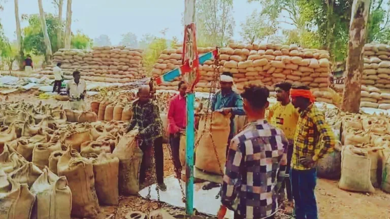 धान खरीदी पर क्या है व्यवधान? कांग्रेस-बीजेपी में तकरार; अब क्या करे किसान… NewsTak