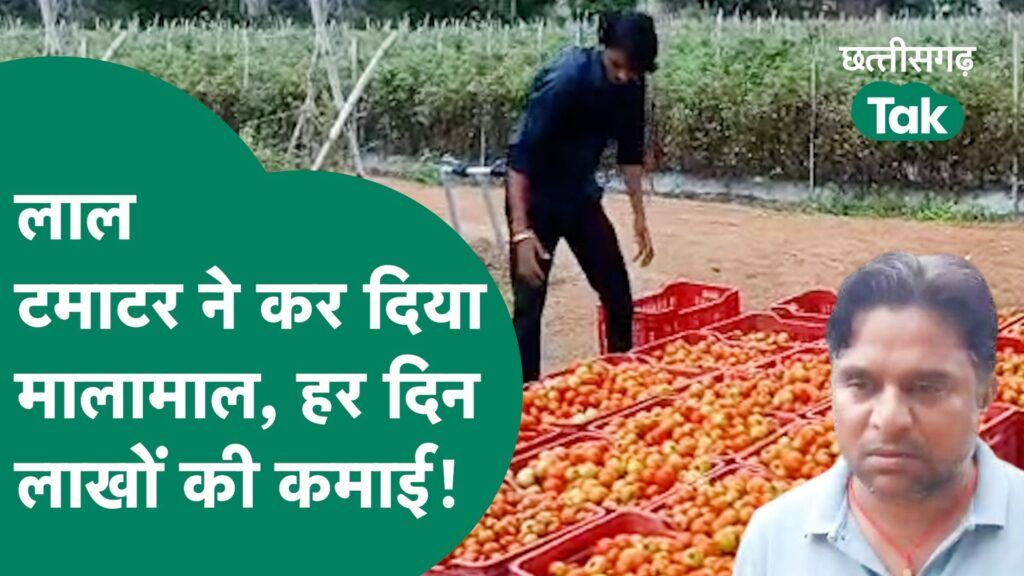 लाल टमाटर ने कर दिया मालामाल,हर दिन लाखों की कमाई! Video Thumbnail