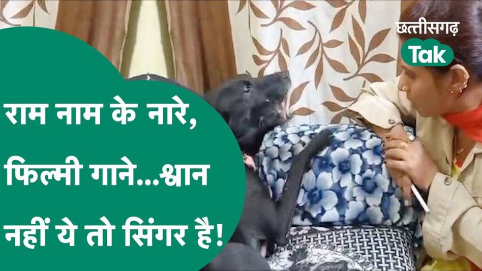 CG News: श्वान नहीं ये तो सिंगर है! मिलिए, राम-राम कहने वाली जूली से Video Thumbnail