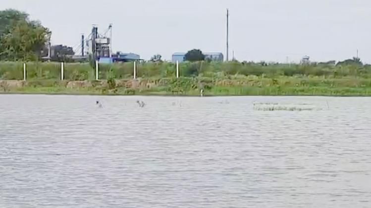 इंजीनियरिंग की नौकरी छोड़ तालाबों की देखरेख में जुटा शख्स