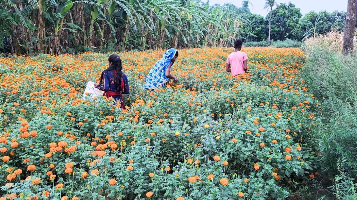 Women Farmers