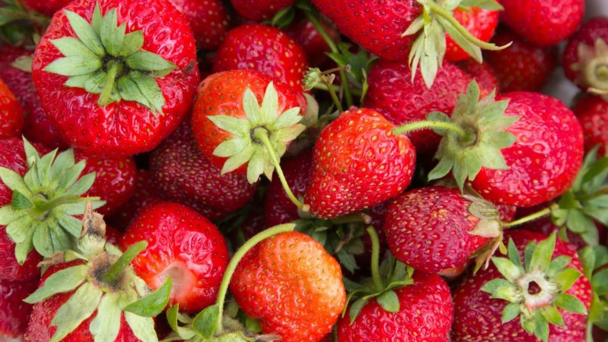 स्ट्रॉबेरी कैपिटल 