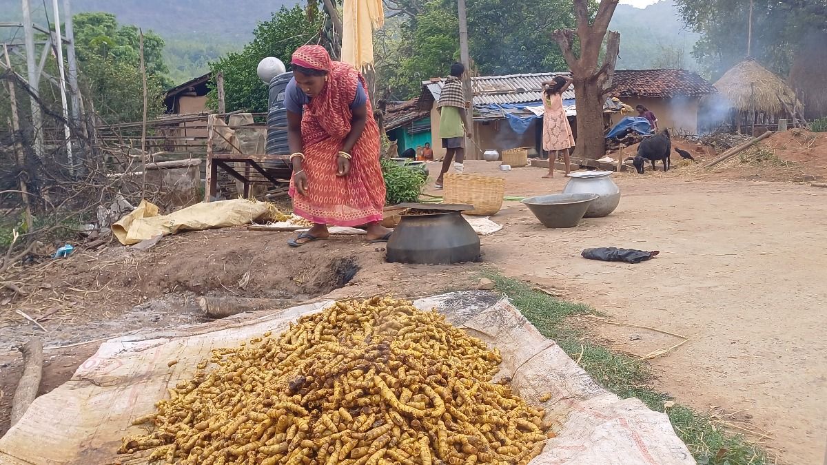 झारखंड की हल्दी