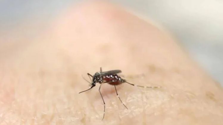 Zika virus in UP