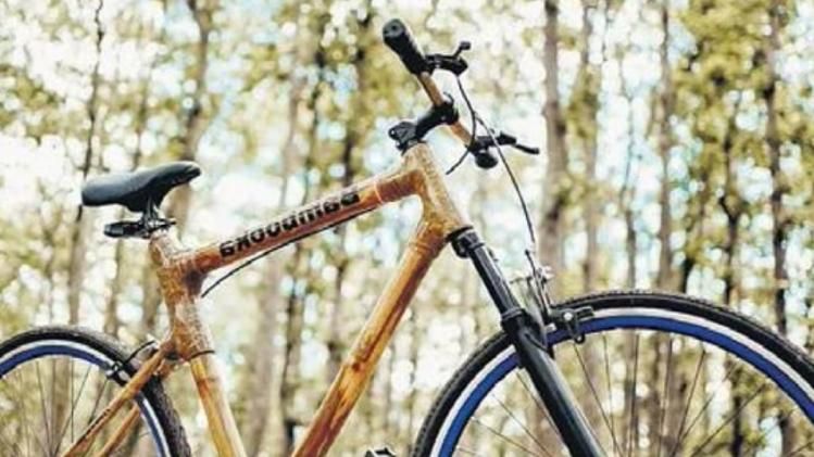 बांस की साइकिल 