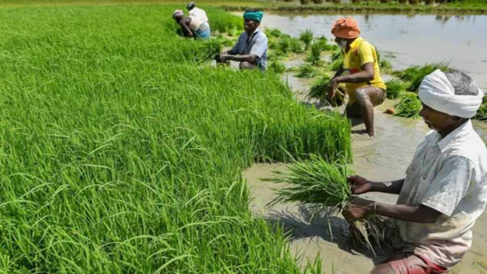 Representative Image (PTI) Representative Image (PTI)