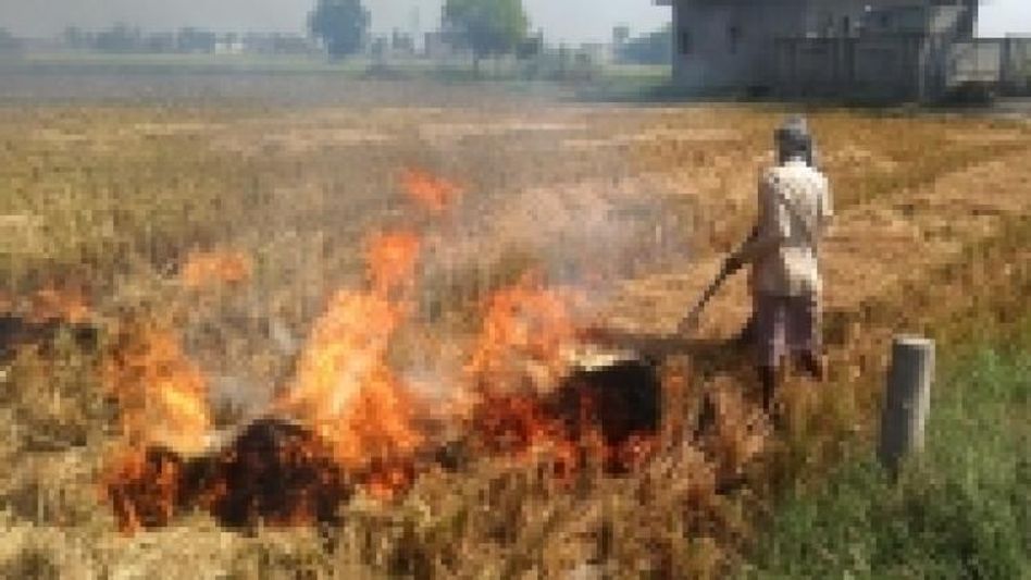 पराली जलाना फेफड़ों के लिए हानिकारक है पराली जलाना फेफड़ों के लिए हानिकारक है
